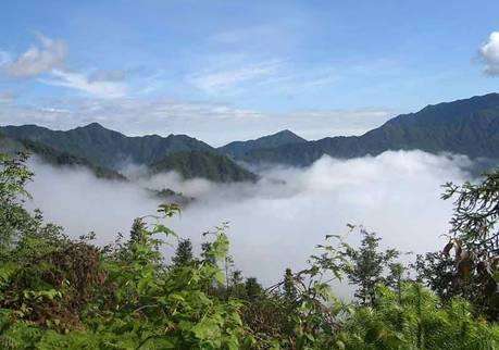 茂云山国家森林公园