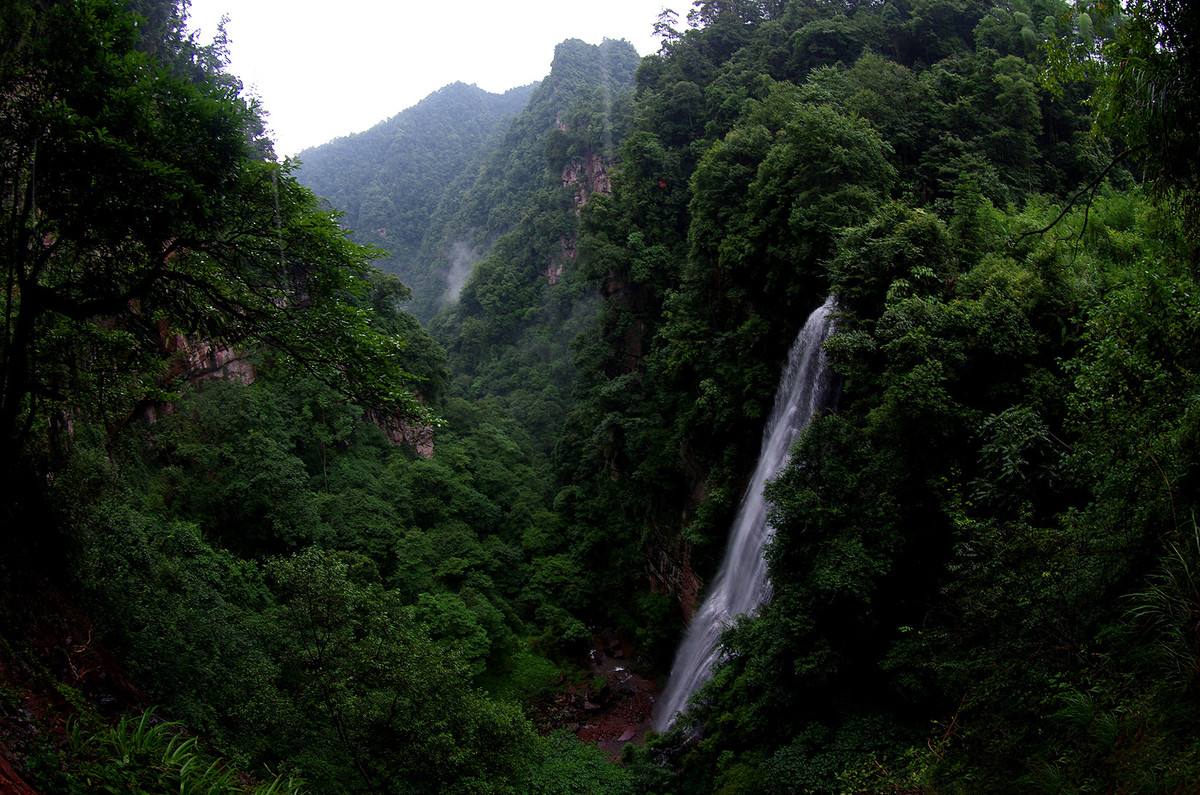 黄荆老林旅游景区自驾游,黄荆老林旅游景区地址_在哪里_票价_好玩吗